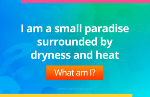 I am a small paradise surrounded by dryness and heat.