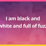 I am black and white and full of fuzz.