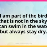 I am part of the bird that is not in the sky. I can swim in the water but always stay dry.