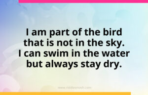 I am part of the bird that is not in the sky. I can swim in the water but always stay dry.