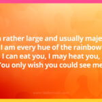 I am rather large and usually majestic. I am every hue of the rainbow I can eat you, I may heat you, You only wish you could see me. What am I?