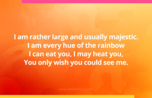 I am rather large and usually majestic. I am every hue of the rainbow I can eat you, I may heat you, You only wish you could see me. What am I?