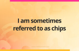 I am sometimes referred to as chips.