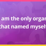 I am the only organ that named myself.