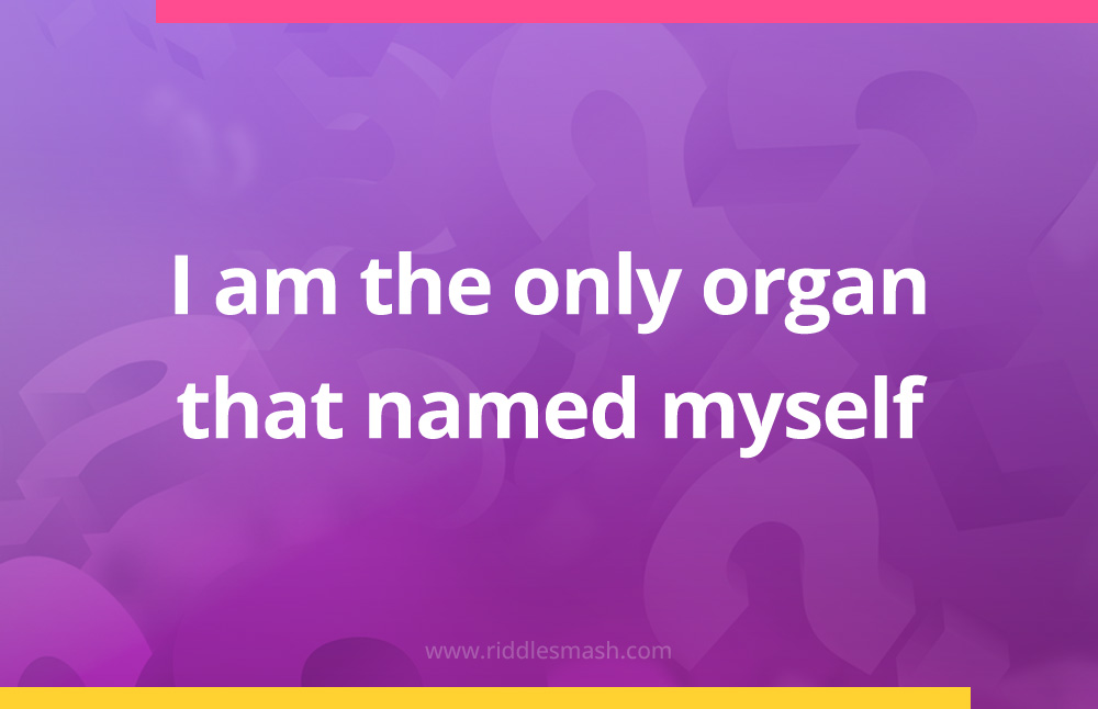 I am the only organ that named myself.