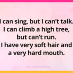 I can sing, but I can't talk. I can climb a high tree, but can't run. I have very soft hair and a very hard mouth. What am I?