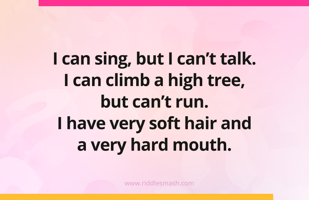 I can sing, but I can't talk. I can climb a high tree, but can't run. I have very soft hair and a very hard mouth. What am I?