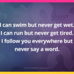I can swim but never get wet. I can run but never get tired. I follow you everywhere but never say a word. What am I?