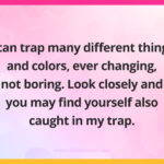 I can trap many different things and colors, ever changing, not boring. Look closely and you may find yourself also caught in my trap.