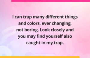 I can trap many different things and colors, ever changing, not boring. Look closely and you may find yourself also caught in my trap.