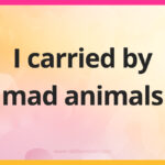 I carried by mad animals.