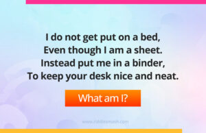 : I do not get put on a bed, Even though I am a sheet. Instead put me in a binder, To keep your desk nice and neat.