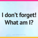 I don't forget! What am I?