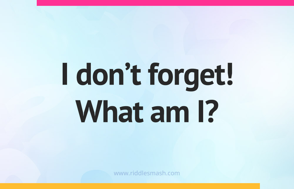 I don't forget! What am I?