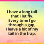 I have a long tail that I let fly. Every time I go through a gap, I leave a bit of my tail in the trap.
