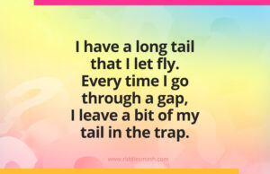 I have a long tail that I let fly. Every time I go through a gap, I leave a bit of my tail in the trap.