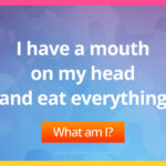 I have a mouth on my head and eat everything. What am I?
