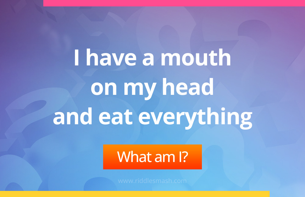 I have a mouth on my head and eat everything. What am I?