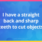 I have a straight back and sharp teeth to cut objects.