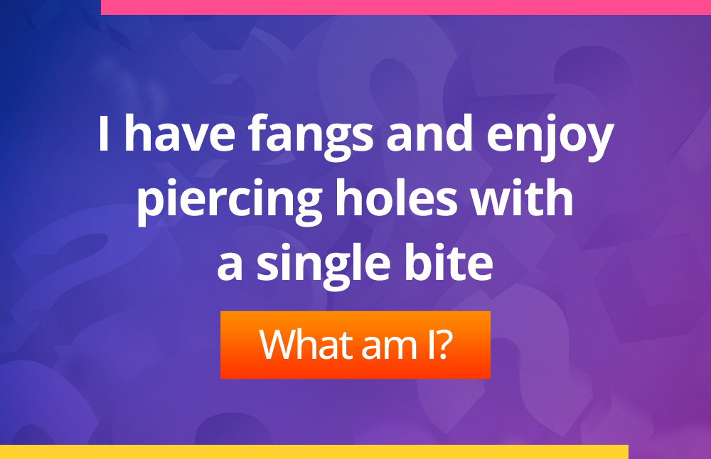 I have fangs and enjoy piercing holes with a single bite.