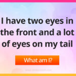 I have two eyes in the front and a lot of eyes on my tail.