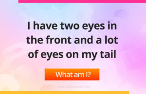 I have two eyes in the front and a lot of eyes on my tail.