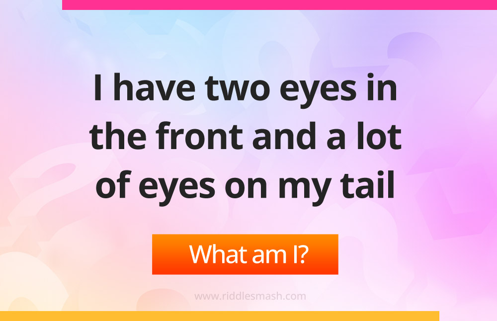 I have two eyes in the front and a lot of eyes on my tail.