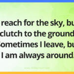 I reach for the sky, but clutch to the ground. Sometimes I leave, but I am always around.