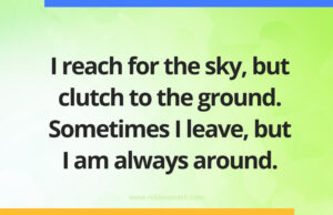 I reach for the sky, but clutch to the ground. Sometimes I leave, but I am always around.