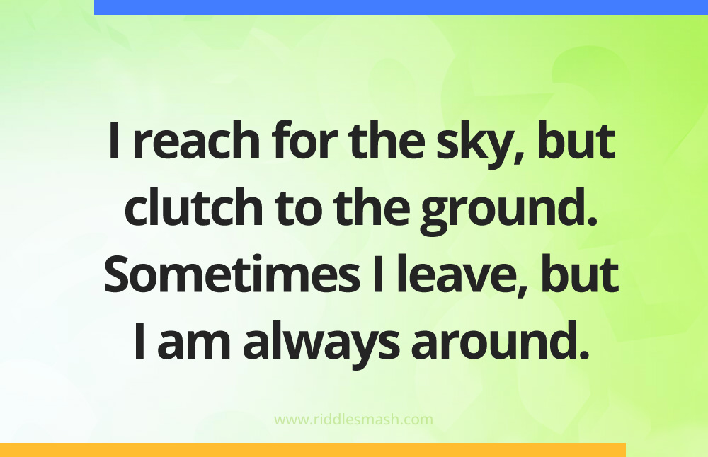 I reach for the sky, but clutch to the ground. Sometimes I leave, but I am always around.