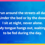 I run around the streets all day. Under the bed or by the door I sit at night, never alone. My tongue hangs out, waiting to be fed during the day.