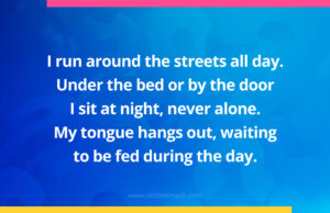 I run around the streets all day. Under the bed or by the door I sit at night, never alone. My tongue hangs out, waiting to be fed during the day.
