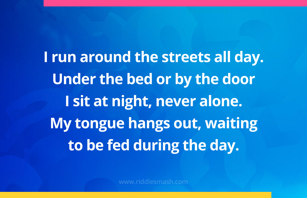 I run around the streets all day. Under the bed or by the door I sit at night, never alone. My tongue hangs out, waiting to be fed during the day. 