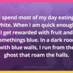 I spend most of my day eating white. When I am quick enough, I get rewarded with fruit and somethings blue. In a dark room with blue walls, I run from the ghost that roam the halls.