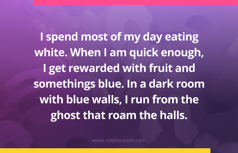 I spend most of my day eating white. When I am quick enough, I get rewarded with fruit and somethings blue. In a dark room with blue walls, I run from the ghost that roam the halls.