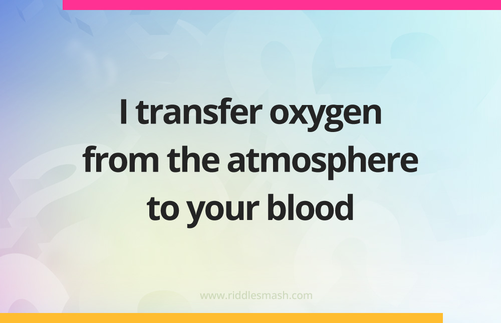 I transfer oxygen from the atmosphere to your blood.