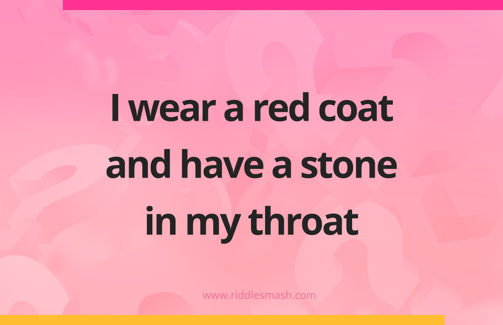 I wear a red coat and have a stone in my throat.