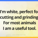I'm white, perfect for cutting and grinding. For most animals I am a useful tool.