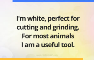 I'm white, perfect for cutting and grinding. For most animals I am a useful tool.
