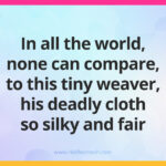 In all the world, none can compare, to this tiny weaver, his deadly cloth so silky and fair.