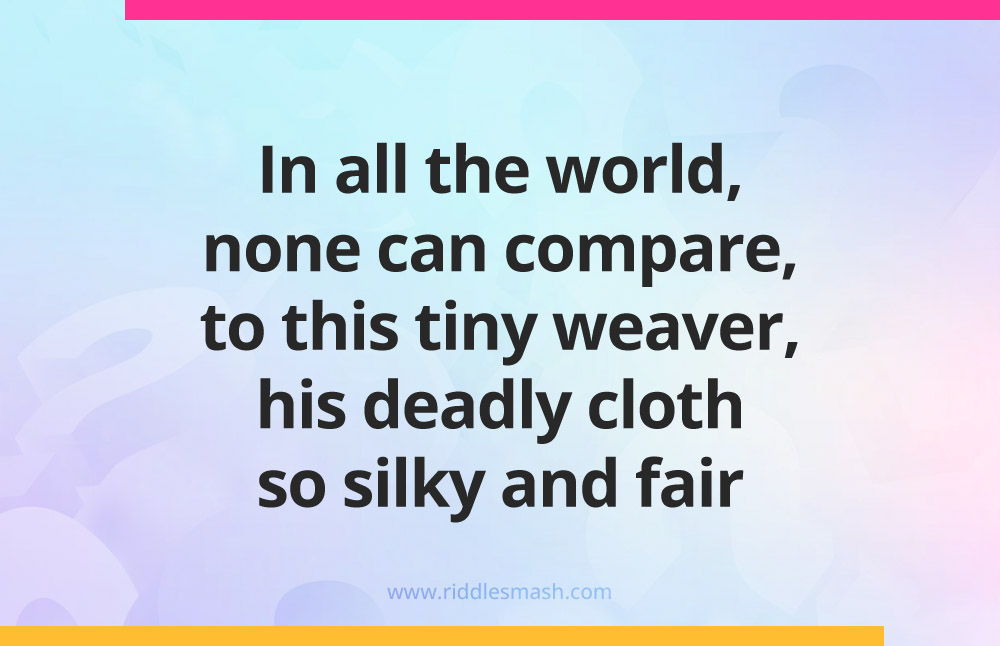 In all the world, none can compare, to this tiny weaver, his deadly cloth so silky and fair.