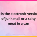 It is the electronic version of junk mail or a salty meat in a can.