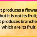 It produces a flower but it is not its fruit; it produces branches which are its fruit.