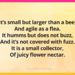 It's small but larger than a bee, And agile as a flea. It humms but does not buzz, And it's not covered with fuzz. It is a small collector, Of juicy flower nectar.