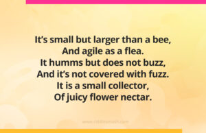 It's small but larger than a bee, And agile as a flea. It humms but does not buzz, And it's not covered with fuzz. It is a small collector, Of juicy flower nectar.