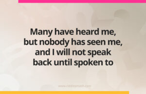 Many have heard me, but nobody has seen me, and I will not speak back until spoken to.