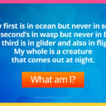 My first is in ocean but never in sea. My second’s in wasp but never in bee. My third is in glider and also in flight. My whole is a creature that comes out at night.