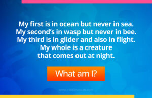 My first is in ocean but never in sea. My second’s in wasp but never in bee. My third is in glider and also in flight. My whole is a creature that comes out at night.