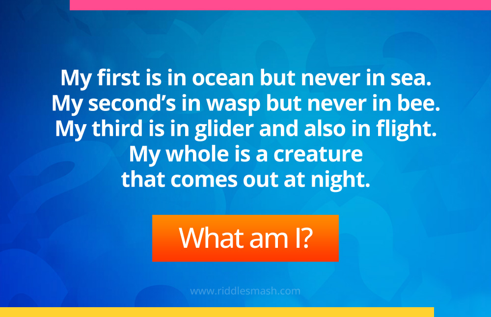 My first is in ocean but never in sea. My second’s in wasp but never in bee. My third is in glider and also in flight. My whole is a creature that comes out at night. 