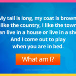 My tail is long, my coat is brown, I like the country, I like the town. I can live in a house or live in a shed, And I come out to play when you are in bed.